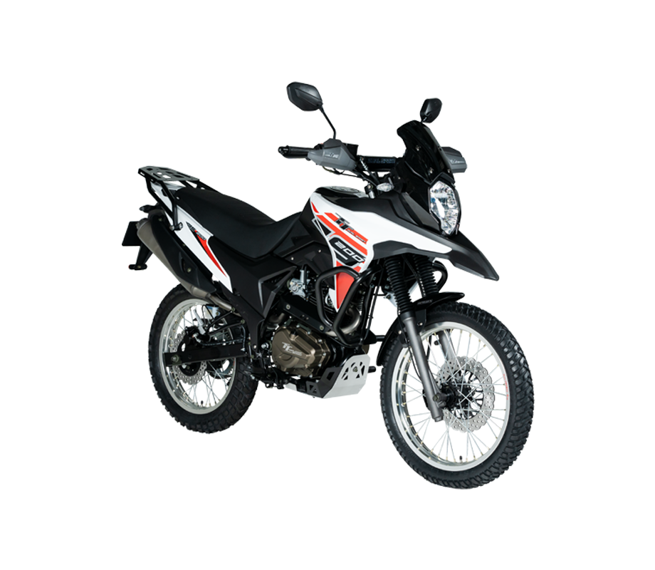 TT 200 DS